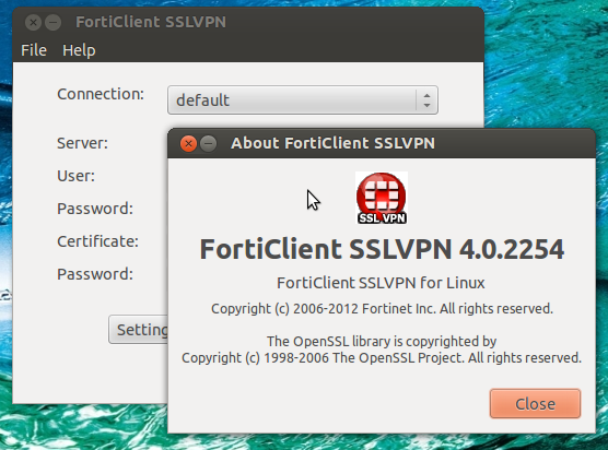 Vpn client plugin